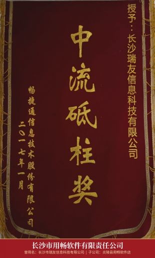 05_2017中流砥柱奖锦旗_长沙瑞友.jpg