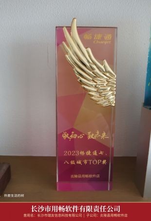 11_2023畅捷通七八级城市top奖杯_炎陵店.jpg